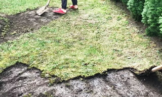 Снятие дерна старого газона в Воронеже – от 520 руб. | 2Землекопа-Врн